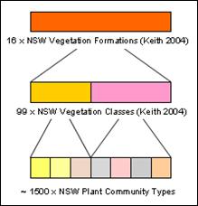 http://www.environment.nsw.gov.au/images/research/VIS1.jpg