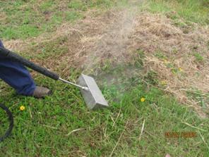 Steam weeding 004