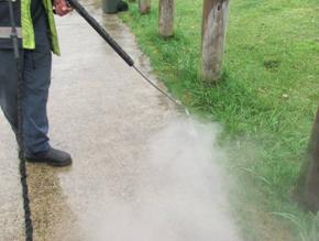 steam weeding jan 2015 013
