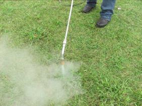steam weeding jan 2015 012
