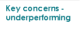Key concerns - underperforming