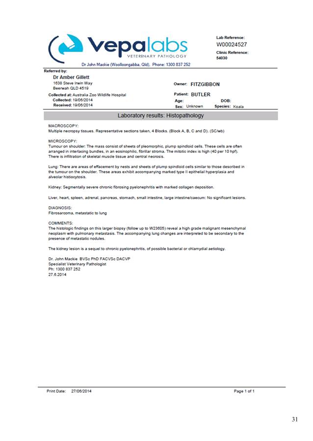 PDF Creator