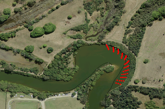 Timber Croynes ~ Downstream Orientation