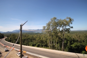 Image result for koala crossings