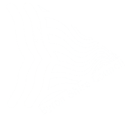decorative image only, Byron Shire Council logo