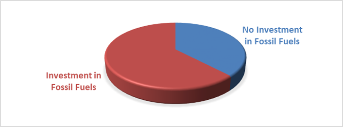 Chart, pie chart

Description automatically generated