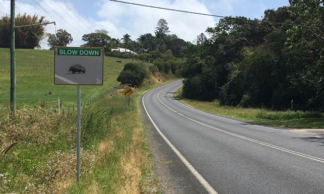 A road with a sign on it

Description automatically generated with medium confidence