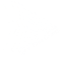 Decorative image, Byron Shire Council logo