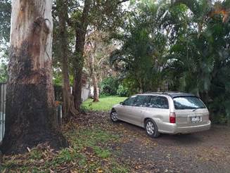 A picture containing tree, outdoor, car, grass

Description automatically generated