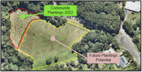 Aerial photograph showing the area for proposed planting areas for the School Regeneration program in the Chincogan Estate Reserve 