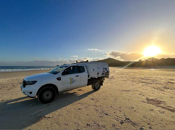 Council's Animal Enforcement vehicle on Clarkes Beach at sunrise. 