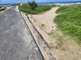 A road with grass and bushes on the side

Description automatically generated