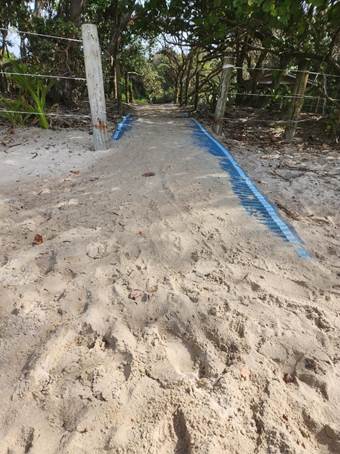 A path in the sand

Description automatically generated