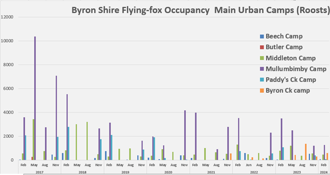 Graphic 1: This graphic describes flying-fox occupancy on the main urban Camps in Byron Shire since 2017. 