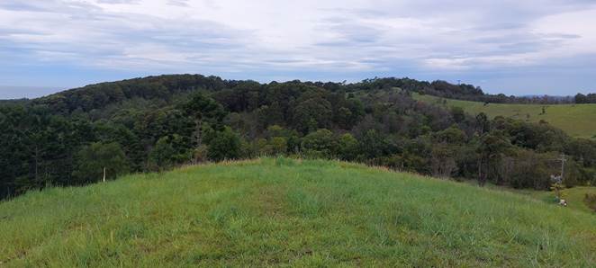 A grassy field with trees in the background

Description automatically generated with medium confidence
