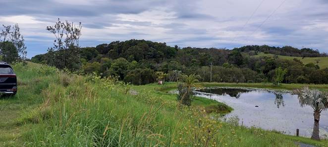A body of water surrounded by grass and trees

Description automatically generated with medium confidence