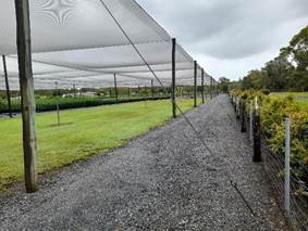 An image displaying the view west towards Lots 46 to 41