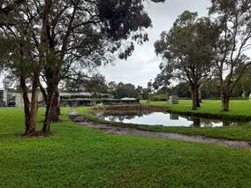 An image displaying the view north towards Lots 49, 47